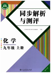 人教金学典同步解析与测评九年级化学人教版重庆专版