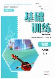 基础训练大象出版社八年级物理教科版