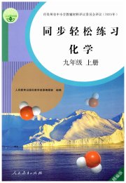 同步轻松练习九年级化学人教版精编版