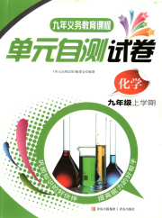单元自测试卷青岛出版社九年级化学鲁教版