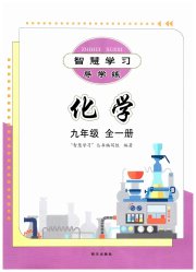 智慧学习九年级化学人教版