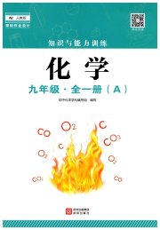 知识与能力训练九年级化学人教版A版
