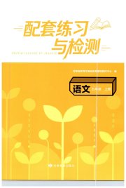 配套练习与检测五年级语文人教版
