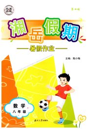湘岳假期暑假作业八年级数学人教版