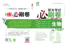 2023年期末考试必刷卷七年级生物下册人教版河南专版