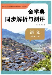 金学典同步解析与测评贵州人民出版社九年级语文人教版