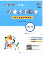 学业水平评价九年级语文人教版