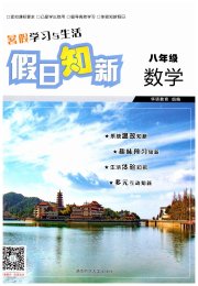 暑假学习与生活假日知新八年级数学湖南师范大学出版社