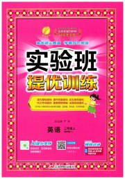 实验班提优训练二年级英语译林版