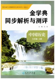 金学典同步解析与测评贵州人民出版社八年级历史人教版