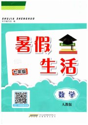 暑假生活七年级数学人教版安徽教育出版社