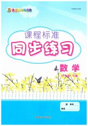 课程标准同步练习六年级数学人教版