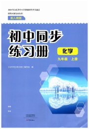 同步练习册大象出版社九年级化学人教版