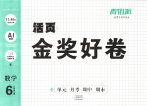 2025年金獎好卷六年級數(shù)學(xué)上冊人教版