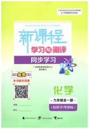 新课程学习与测评同步学习九年级化学科粤版