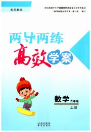 新课标两导两练高效学案六年级数学凤凰版