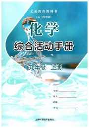 综合活动手册九年级化学沪教版五四制