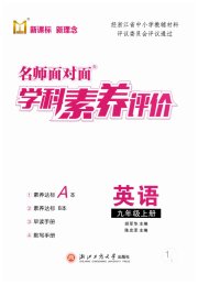 名师面对面学科素养评价九年级英语人教版