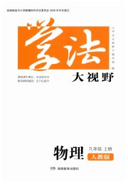 学法大视野九年级物理人教版