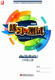 练习与测试小学英语六年级译林版