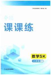 夺冠课课练八年级数学苏科版