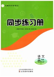 同步练习册山东美术出版社二年级语文人教版