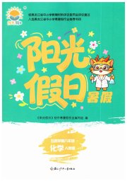 阳光假日暑假八年级化学人教版五四制