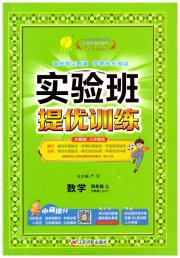 实验班提优训练四年级数学苏教版江苏专用