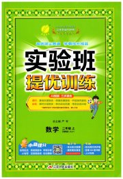 实验班提优训练二年级数学苏教版江苏专用