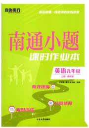 南通小题课时作业本九年级英语译林版