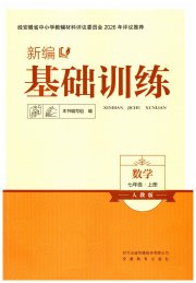 新编基础训练七年级数学人教版