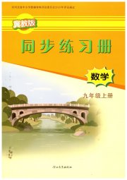 同步练习册九年级数学冀教版河北教育出版社