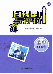 自我提升与评价九年级化学人教版