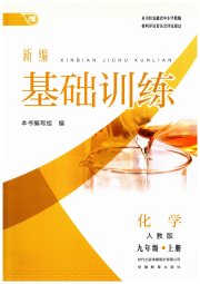 新编基础训练九年级化学人教版