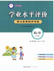 学业水平评价七年级数学人教版