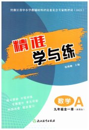精准学与练九年级数学浙教版