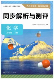 人教金学典同步解析与测评九年级化学人教版
