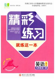 精彩练习就练这一本九年级英语人教版评议教辅