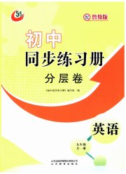同步练习册分层拓展九年级英语鲁教版五四制