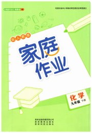 家庭作业九年级化学人教版
