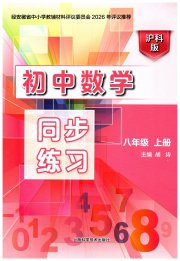 初中数学同步练习八年级沪科版上海科学技术出版社