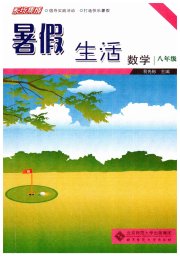 系统集成暑假生活八年级数学