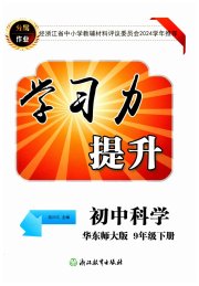 学习力提升九年级科学华师大版