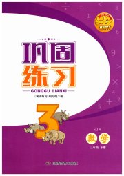 全新巩固练习三年级数学苏教版