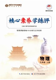 核心素养学练评九年级物理人教版