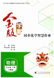 金版学案同步优学智慧作业九年级物理人教版