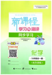新课程学习与测评同步学习九年级化学鲁教版
