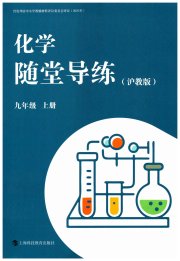 随堂导练上海科技教育出版社九年级化学沪教版