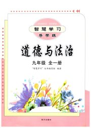 智慧学习九年级道德与法治人教版