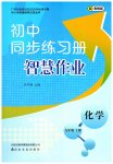2026年同步练习册智慧作业九年级化学上册鲁教版